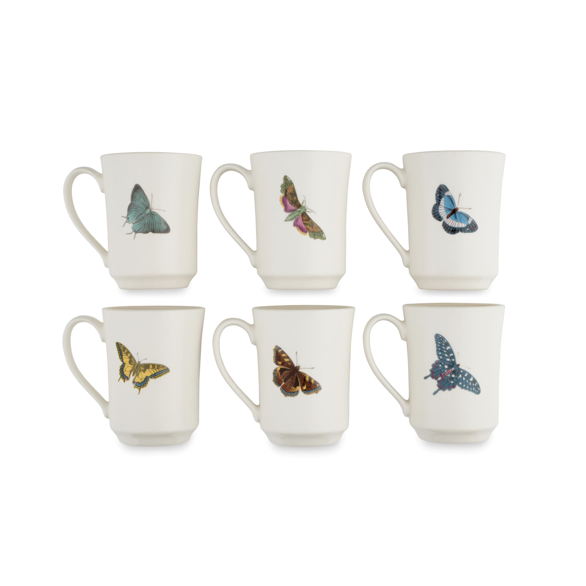 Botanic Garden 14 Ounce Flared Tankard Mug Set of 6 (Assorted Motifs) image number null